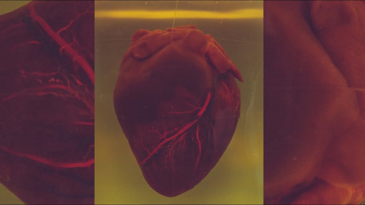 B.ö.L Feat. Nbwest - Heart Machine (Original Mix) [Estribo Records]