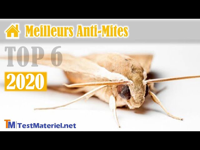 Comparatif et Tests des Meilleurs Antimites Alimentaires ou Textiles -  www.TestMateriel.net 