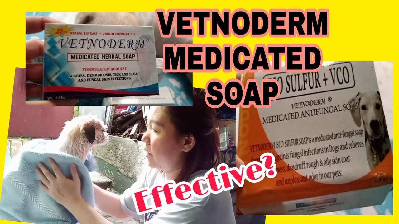 Vetnoderm Medicated Dog Soap Para sa Aso Effective Herbal Soap By