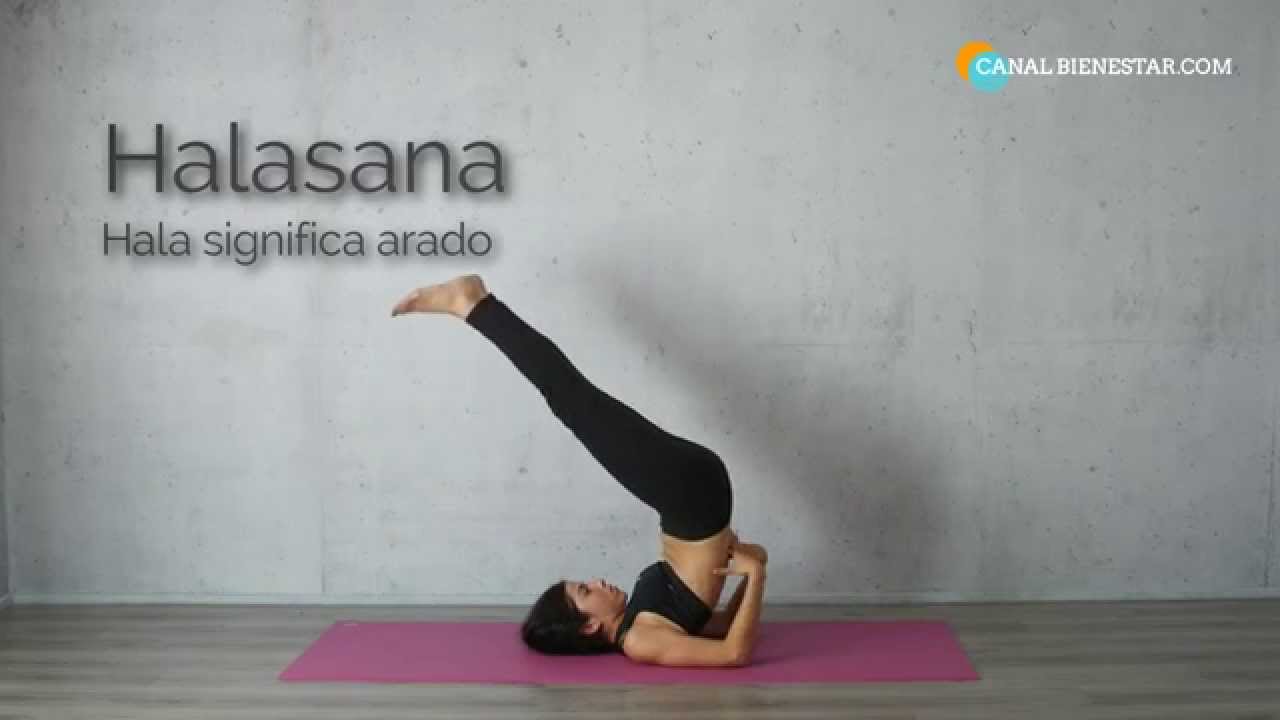 yoga sport bh Asana 8: HALASANA