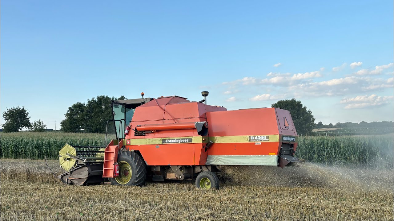 Dronningborg D4500 żniwa 25”