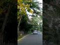 ৰূপহী অসম সেউজ গাঁও Awesome Assam #shorts #ytshorts #nature
