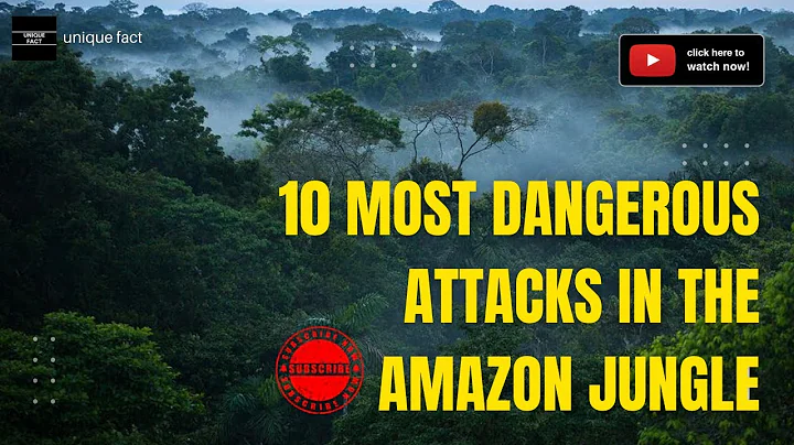 Surviving the Amazon Jungle: Top 10 Most Dangerous Animal Attacks