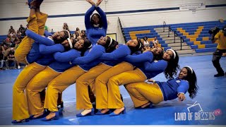 Alpha Upsilon Chapter of Sigma Gamma Rho Probate Spring 26' at Fisk University