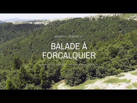Rencontre célibataires Alpes-de-Haute-Provence