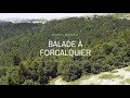 Balade autour de Forcalquier - Terres de France