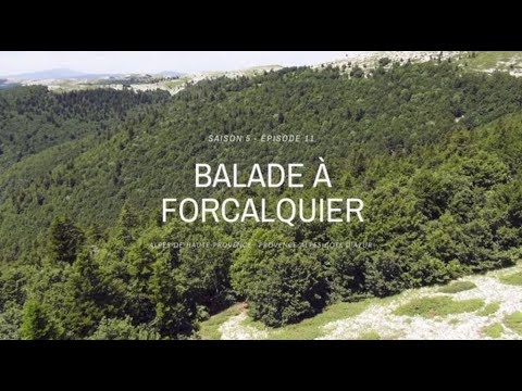 Balade autour de Forcalquier - Terres de France