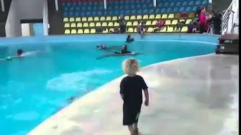 Come si chiama il delfino?