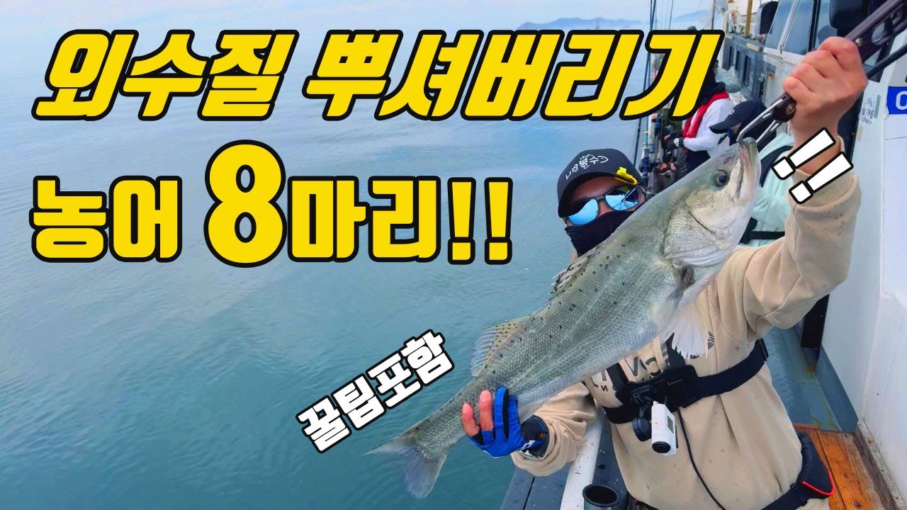 생새우 외수질 벌써부터 마릿수가 터졌습니다!!