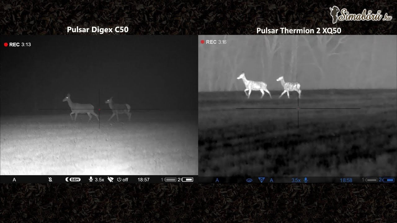 Éjjellátó (Pulsar Digex C50 ,940nm) vs. hőkamera (Pulsar Thermion XQ50)