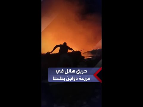 حريق هائل في مزرعة دواجن بطنطا والحماية المدنية تحاول السيطرة على ألسنة النيران