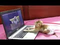 Wow Amazing Moly Learn To Use Laptop To Watch Youtube&#39;sVideo