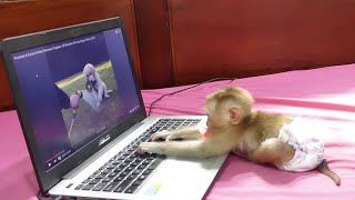 Wow Amazing Moly Learn To Use Laptop To Watch Youtube&#39;sVideo