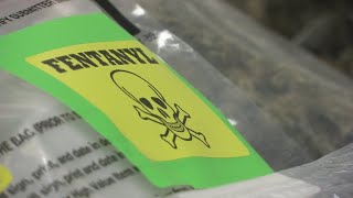 AG Schneiderman warns of fentanyl-laced pills disguised as oxycodone