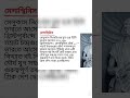 মেগাস্থিনিস কোথা থেকে এসেছিলেন