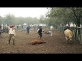 Estancias y Tradiciones, Capitulo: Estancia El Maycá, (la yerra)