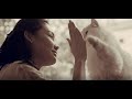 Dumpling's True story - Saving cats' lives - CATLINK AI Cat litter Box Scooper
