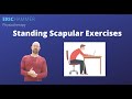 Standing Scapular Exercises