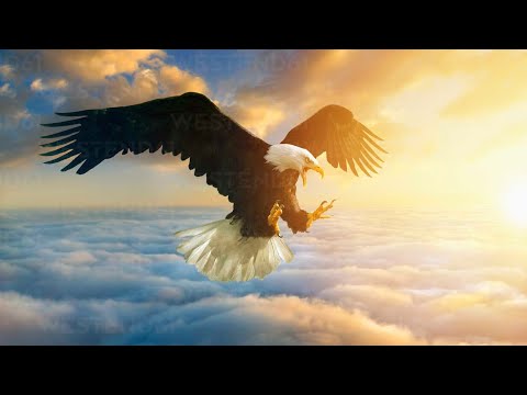 I Love Him- Sung by Brother William Marrion Branham