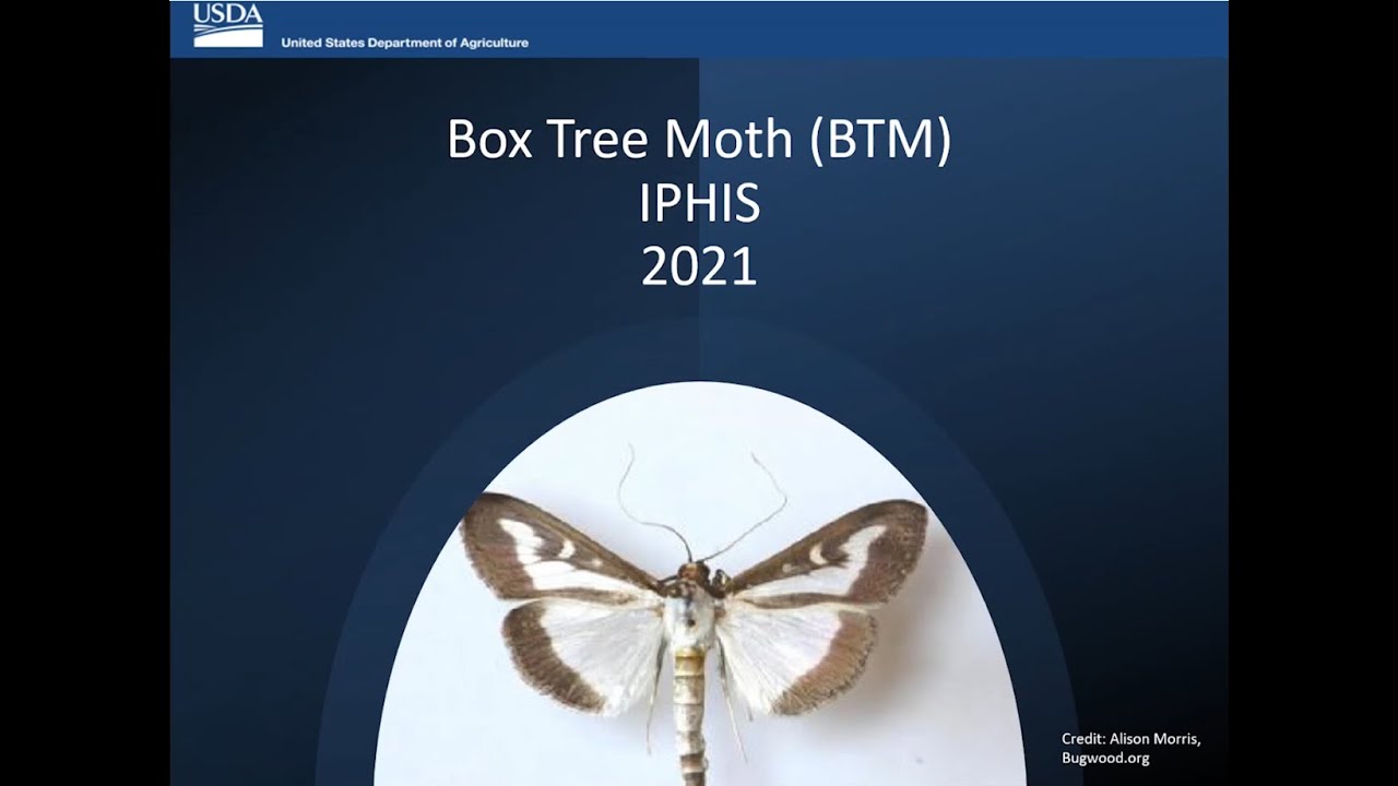 BTM 2021 Trapping Surveys - Using IPHIS Data Collector (IDC) (Box Tree Moth)