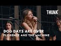 Dog days are over florence and the machine  thunk a cappella