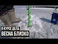 Весна близко \ В курсе дела \ #27