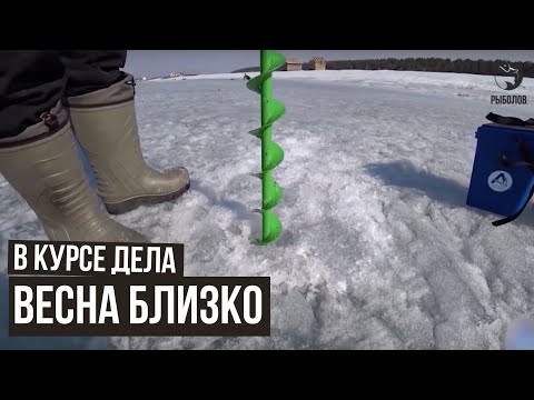 Весна близко / В курсе дела / #27