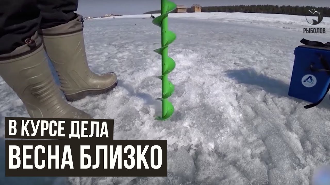 Весна близко / В курсе дела / #27