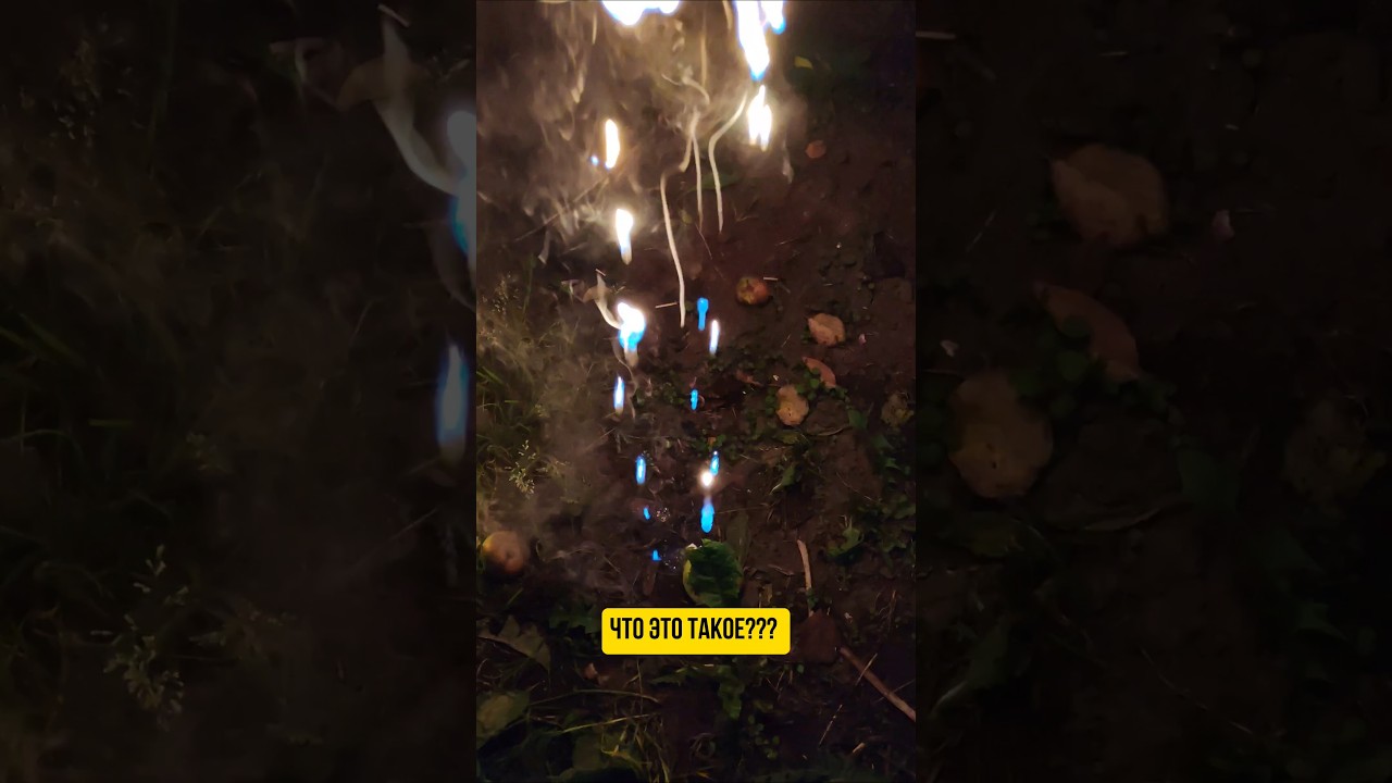 Кто-нибудь помнит что это такое? 