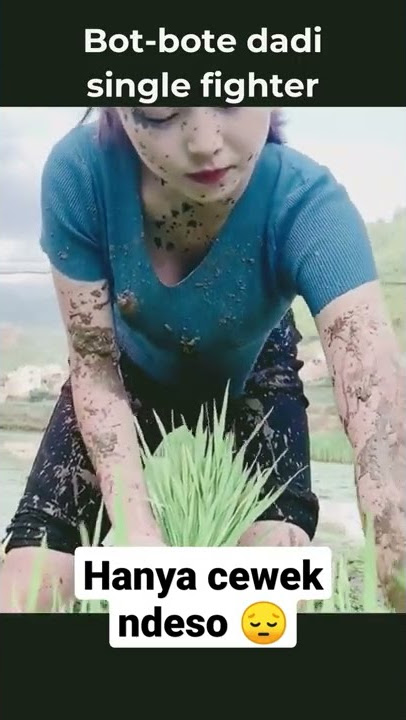 Viral cewek desa cantik di sawah