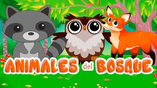 APRENDE LOS ANIMALES DEL BOSQUE. y sus sonidos - Video educativo (Español)🦊.