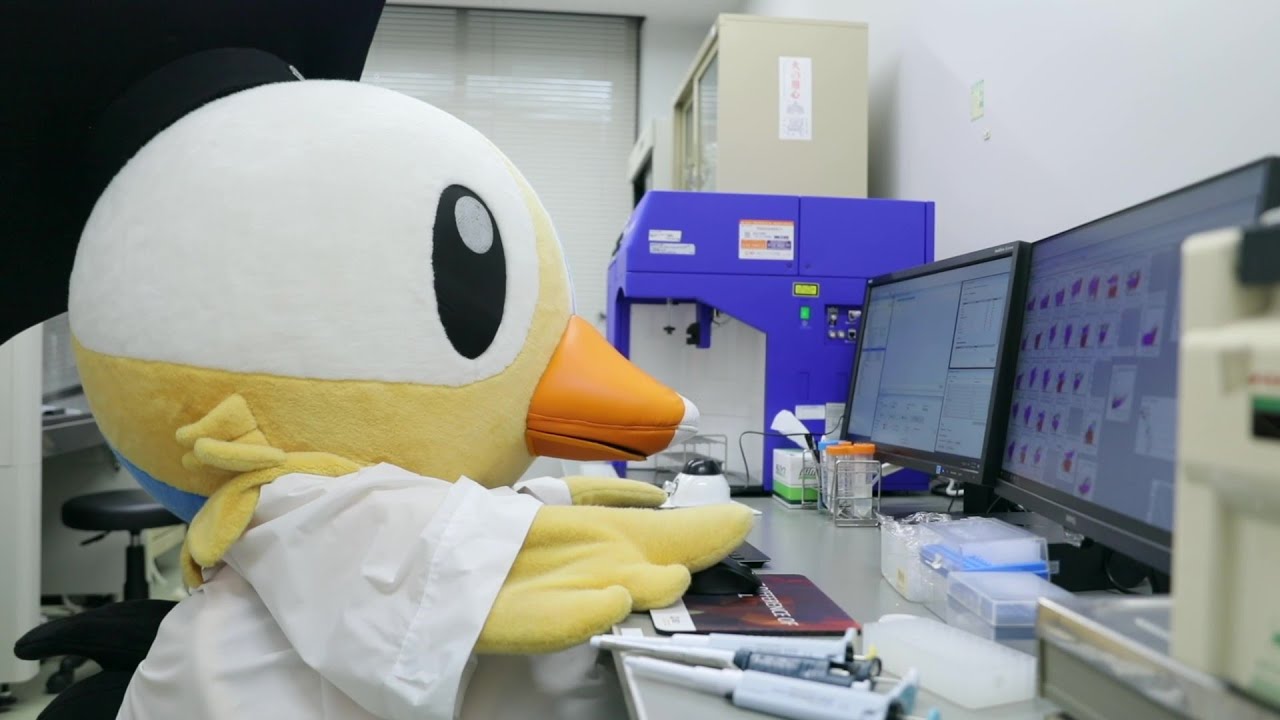 受験生へ | 鳥取大学医学部生命科学科