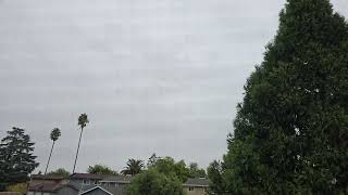 11:08am Oct 25, 2025 - Cloudy & Light SSE Winds after Mist Drizzle Shower