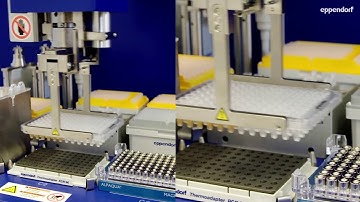 Eppendorf - LabTeamet - NGS Made Easy – Optimize Your NGS Library Prep With the epMotion® 5075t – Te