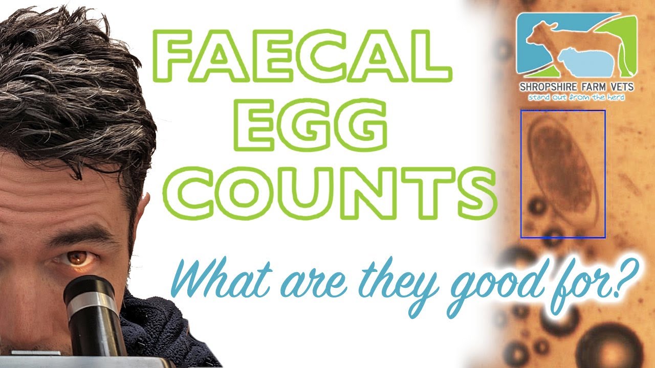 Curated visual reference: Fresh Look at Faecal Egg Counts Worth Your Time