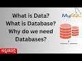 What is Data? What is Database? | Explained in Kannada 🔥