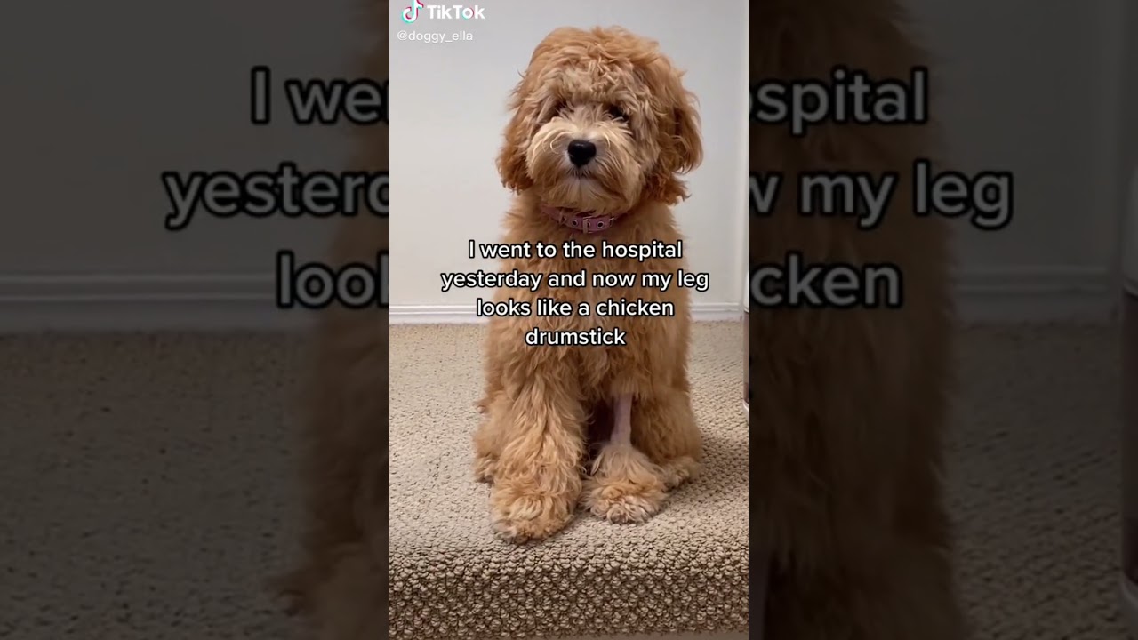 I went to the hospital yesterday and now my leg looks like a chicken