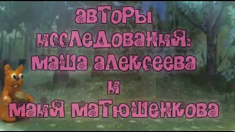 Зачем белке кисточки на ушах