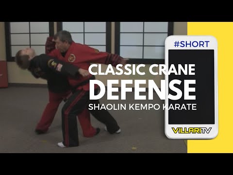 Defending an Attack with Leaping Crane Technique #short