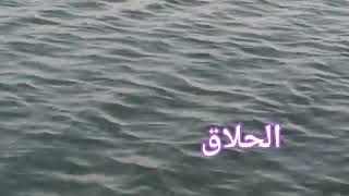 الحلاق ، قصص صوتيه.