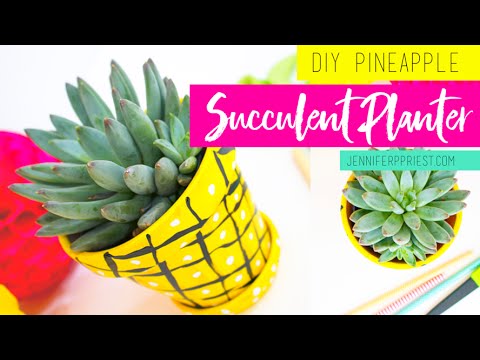 where can i buy san pedro cactus Trichocereus pachanoi