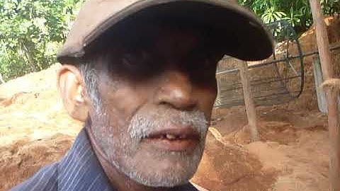 Sri Lanka,ශ්‍රී ලංකා,Ceylon,Coir,Coco Peat Production,Extraction,Coconut Husks