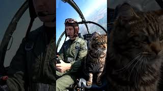 #cat #airplane #acrobatics