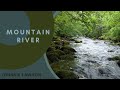 8 Hours Relaxing Nature Sounds-Birdsong-Sound of Water-Mindfulness-Relaxation-Meditation