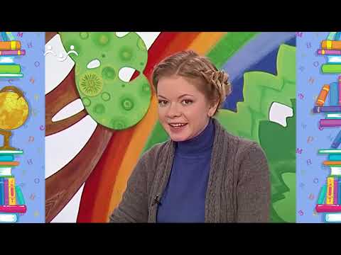 Школа Шишкиного Леса. Русский язык. Азбука и алфавит