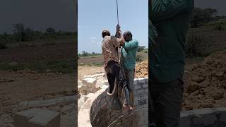 Deep Well Cleaning Process 😱 | Inside an Old Village Well #shorts