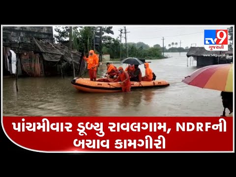 Devbhumi Dwarka: Following heavy rainfall, NDRF team undertakes rescue operation at Rawal village