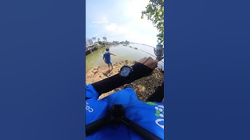 Cá cóc #fishing #caucathugian #fish #caucathiennhien #caucagiaitri #cauca