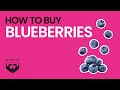 How to Buy Blueberries