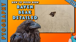 #Pyrography: Essential Tips for Wood Burning a Detailed Raven Beak